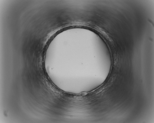 X0000100761264200807171333