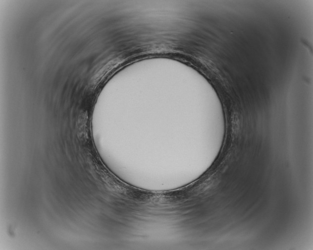 X0000100761265200807171333