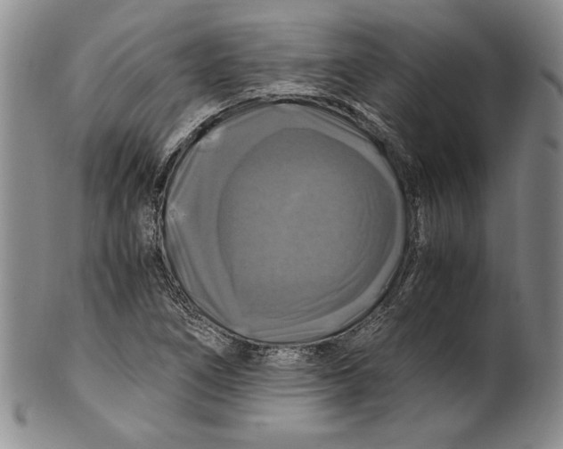 X0000100761266200807171333
