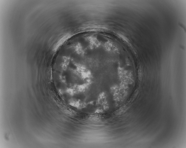 X0000100761267200807171333