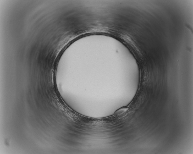 X0000100761268200807171333