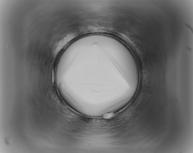X0000100761269200807171333