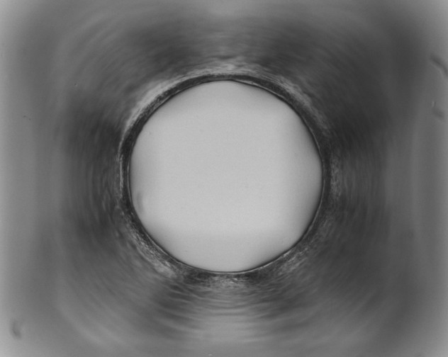X0000100761270200807171333