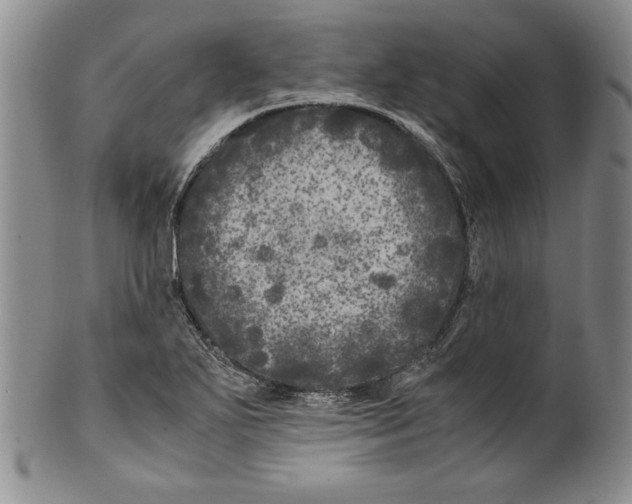 X0000100761271200807171333