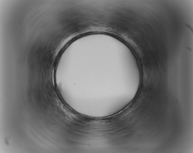 X0000100761272200807171333
