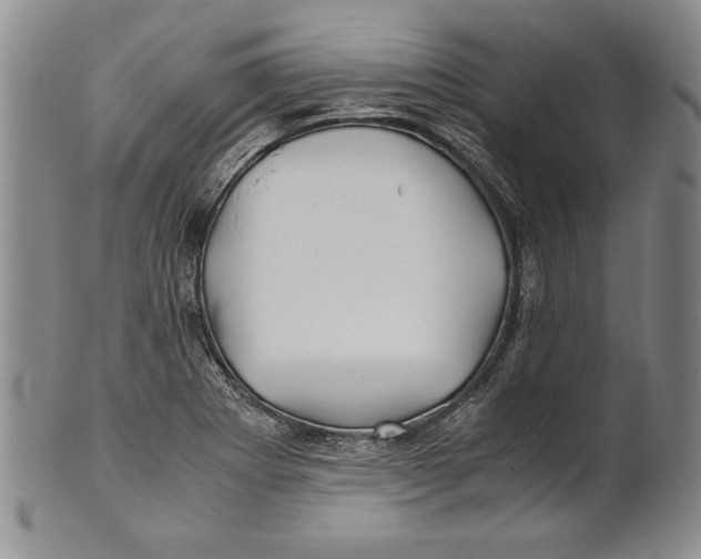 X0000100761273200807171333