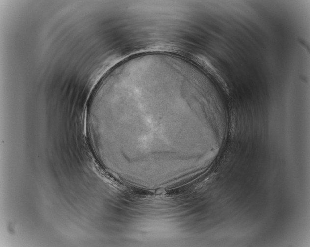 X0000100761276200807171333
