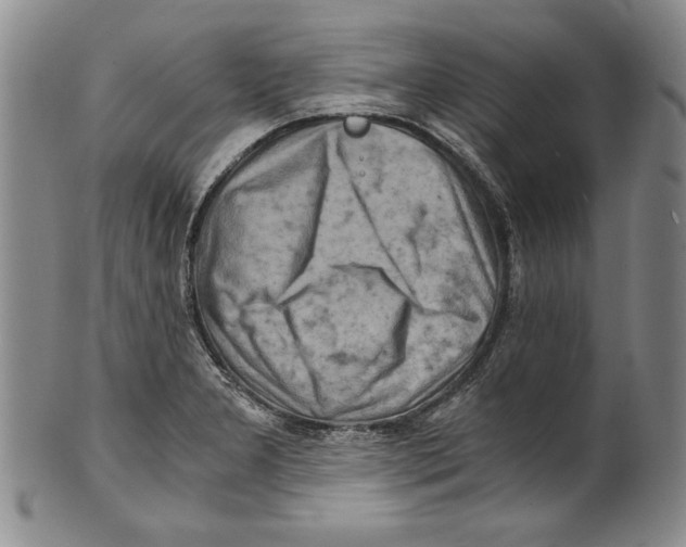 X0000100761277200807171333
