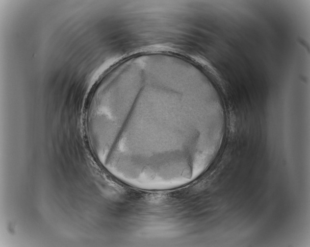 X0000100761278200807171333