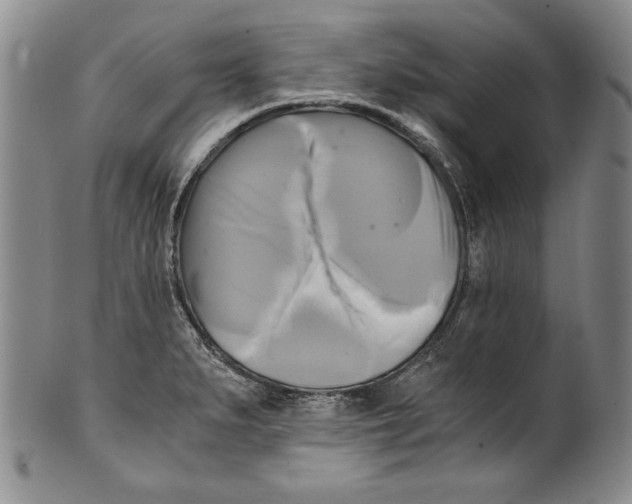 X0000100761279200807171333