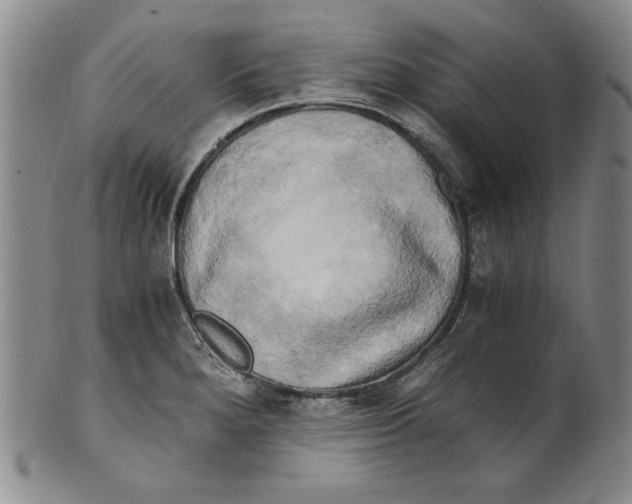 X0000100761280200807171333