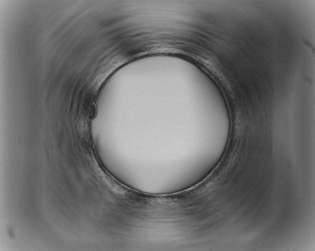 X0000100761281200807171333