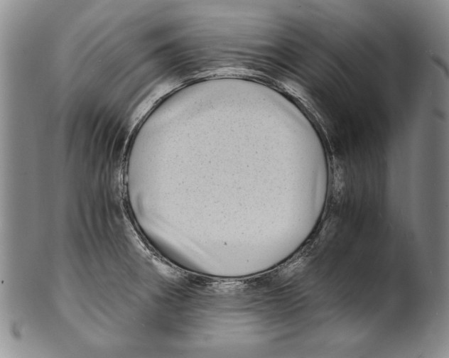 X0000100761282200807171333