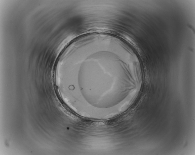 X0000100761283200807171333