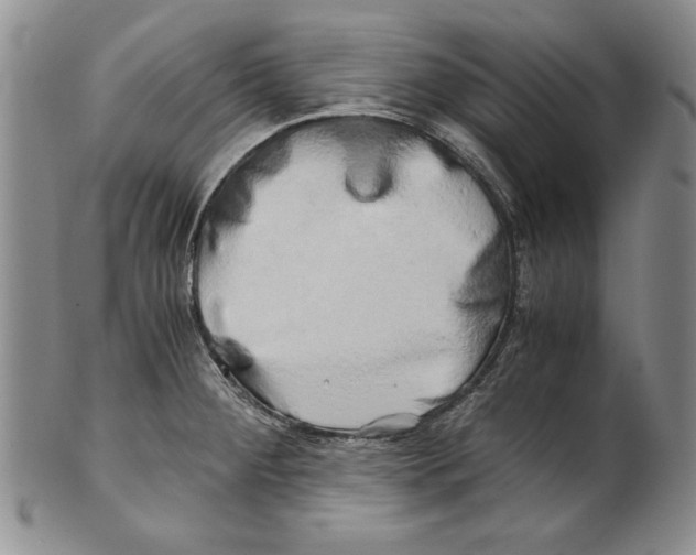 X0000100761284200807171333