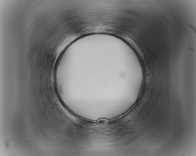 X0000100761285200807171333