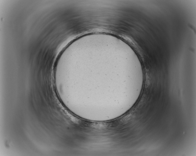 X0000100761286200807171333