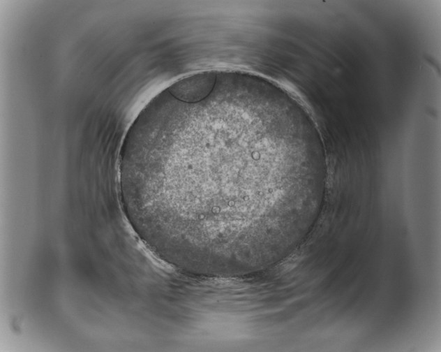 X0000100761287200807171333
