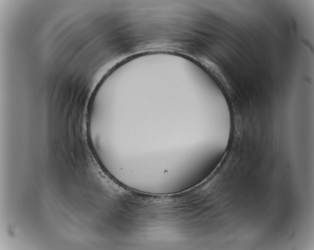 X0000100761288200807171333
