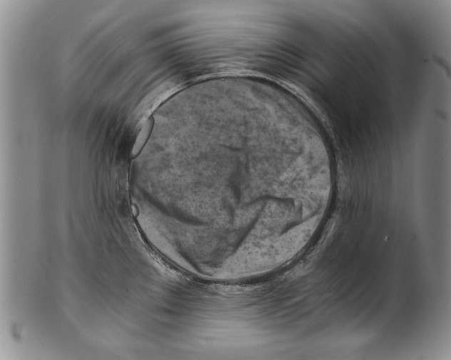 X0000100761289200807171333