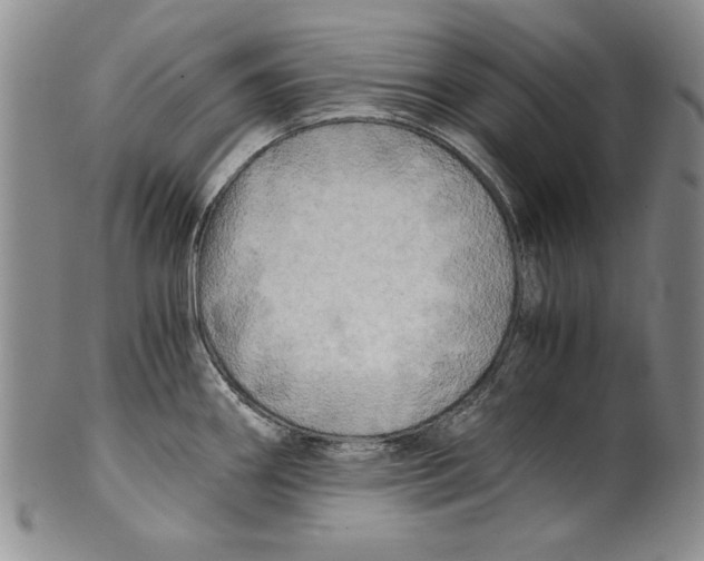 X0000100761290200807171333