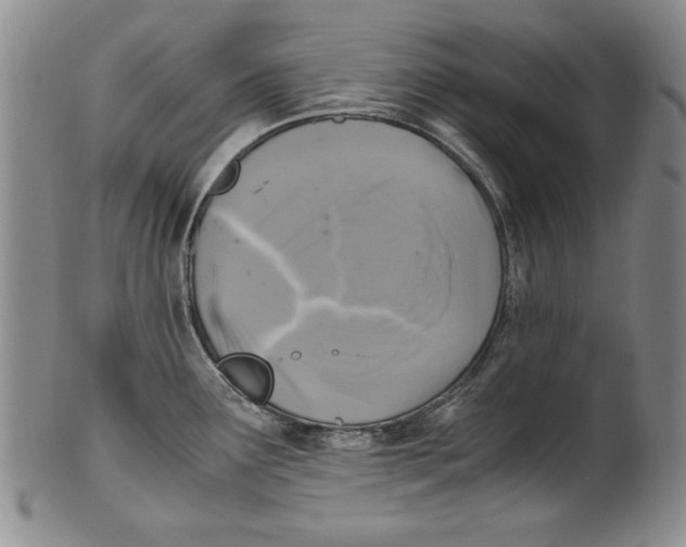 X0000100761291200807171333