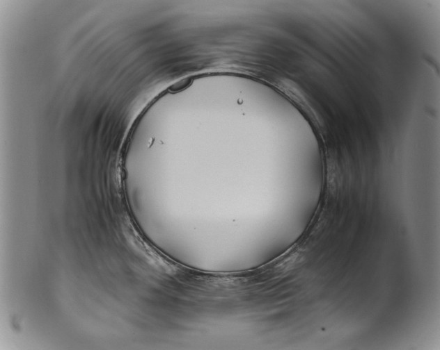 X0000100761292200807171333