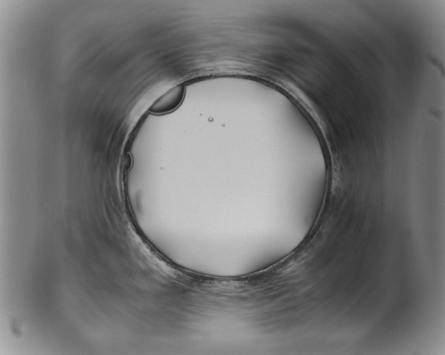 X0000100761293200807171333