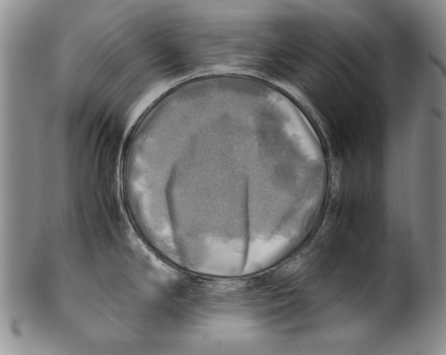 X0000100761294200807171333