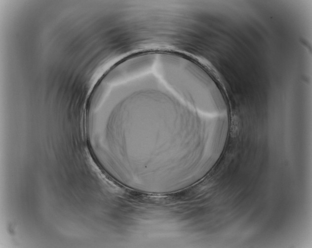 X0000100761295200807171333