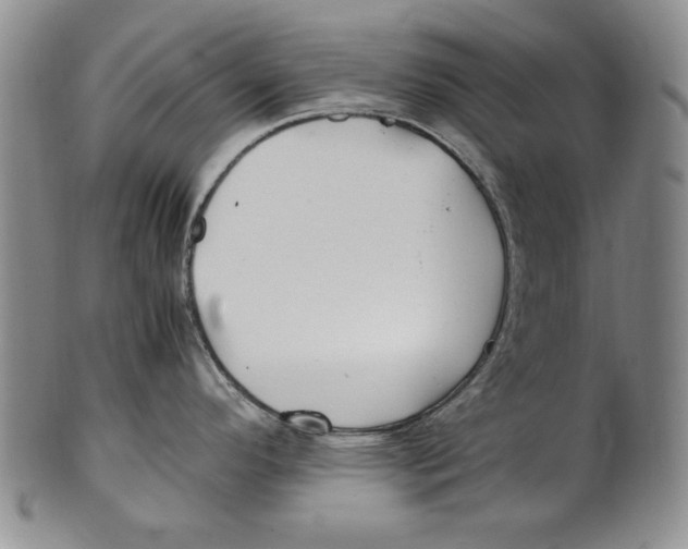 X0000100761296200807171333