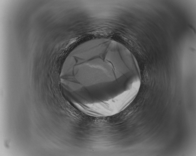 X0000100761297200807171332