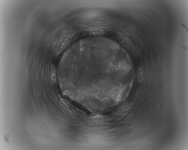 X0000100761298200807171332