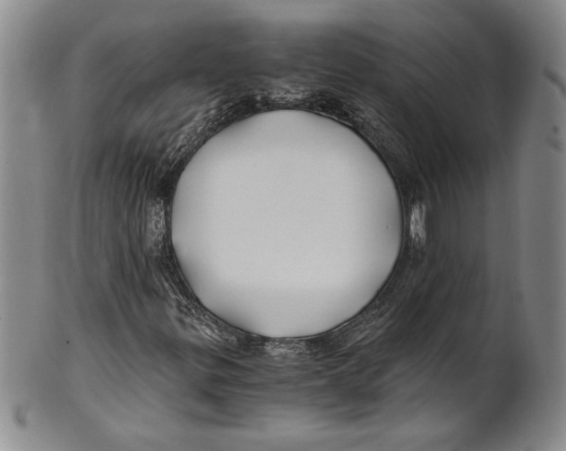 X0000100761299200807171332
