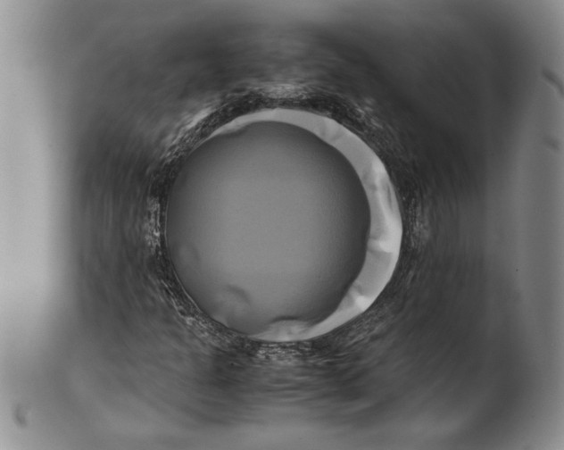 X0000100761301200807171332