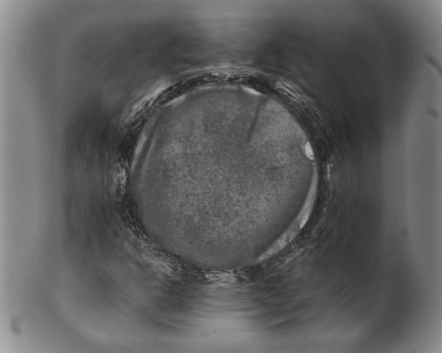 X0000100761302200807171332