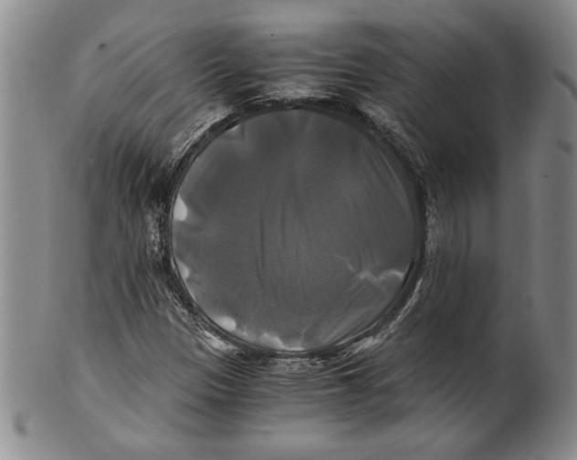 X0000100761305200807171332