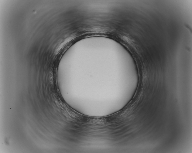X0000100761307200807171332