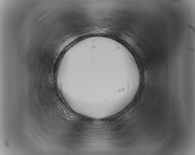 X0000100761308200807171332