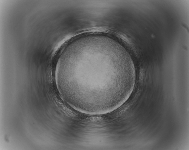 X0000100761310200807171332