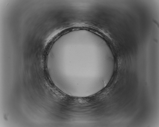 X0000100761311200807171332
