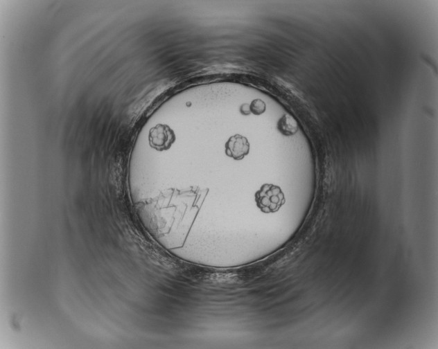 X0000100761313200807171332