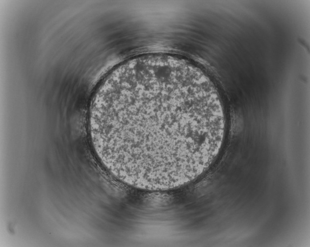 X0000100761314200807171332