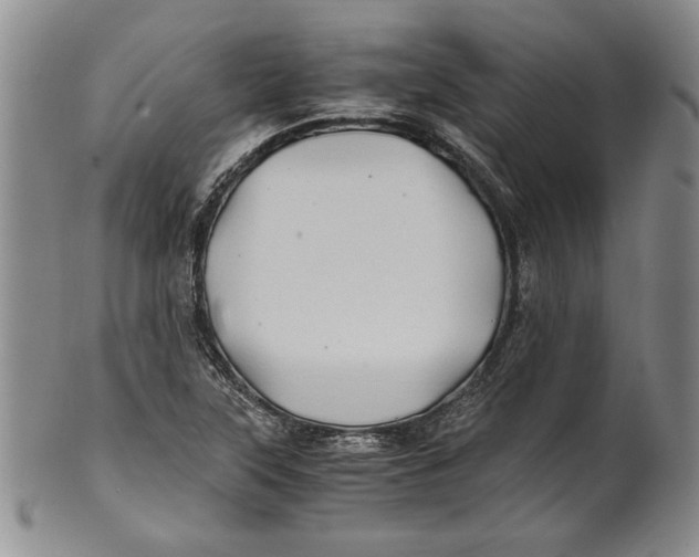 X0000100761315200807171332