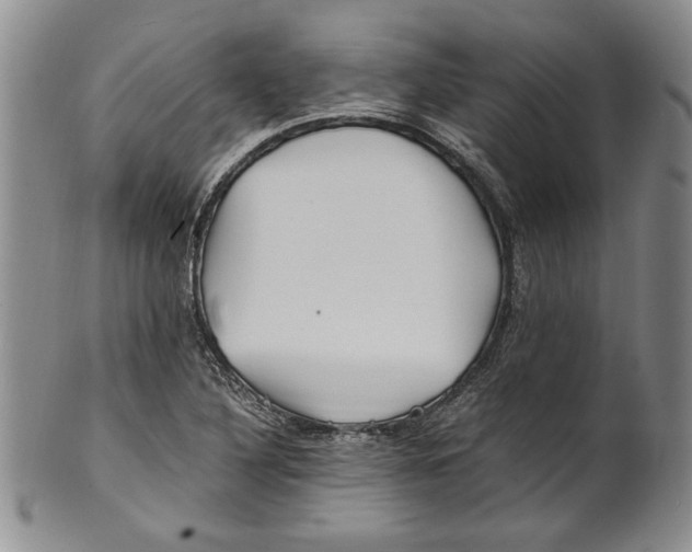 X0000100761316200807171332