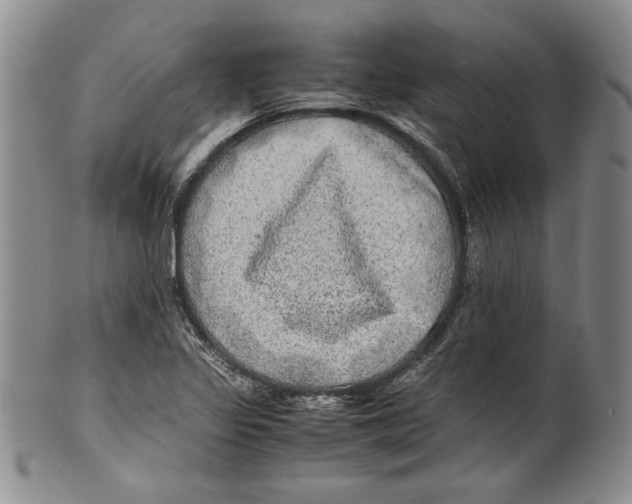 X0000100761317200807171333