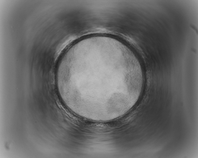 X0000100761318200807171333