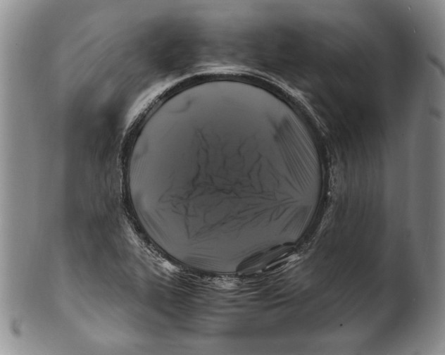 X0000100761319200807171333