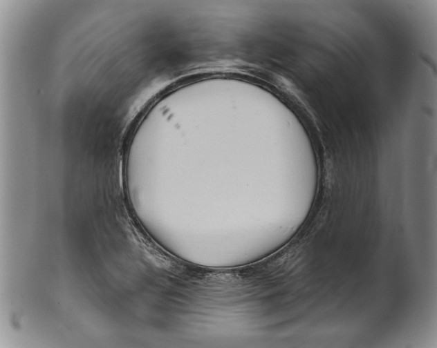 X0000100761320200807171333