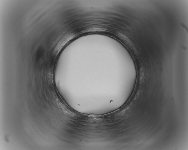 X0000100761321200807171333